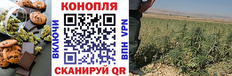 дарк нет официальный сайт  Верещагино  Cannafood конопля 