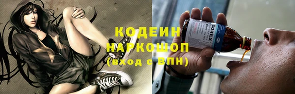 индика Касимов