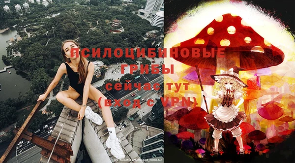 МДМА Козловка