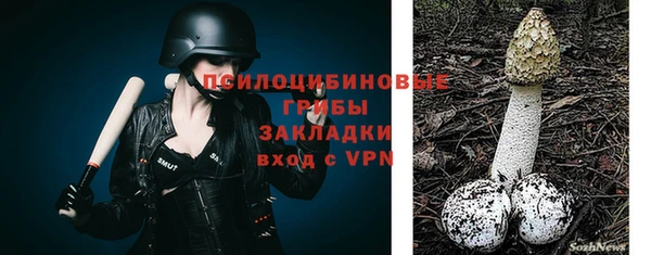 МДМА Козловка