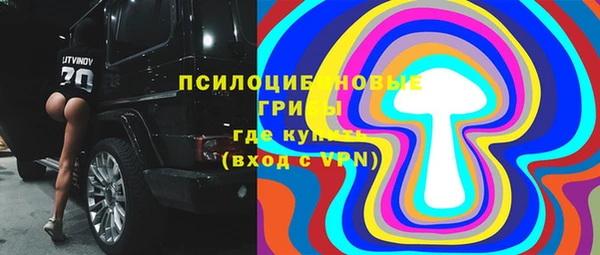 мдпв Киренск